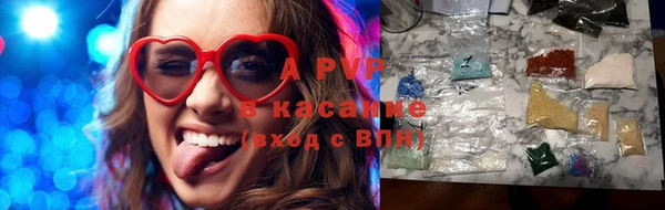 гашик Ельня