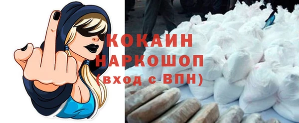 гашик Ельня
