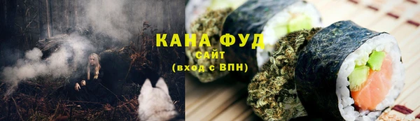 гашик Ельня