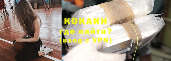 гашик Ельня