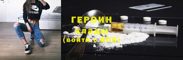 гашик Ельня