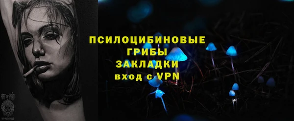 кокс Дмитриев