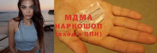 гашик Ельня