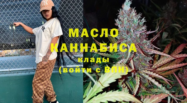 гашик Ельня
