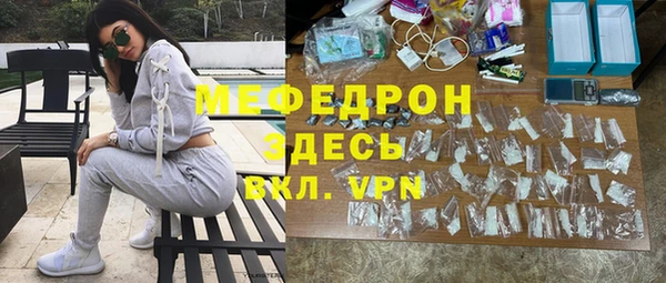 гашик Ельня