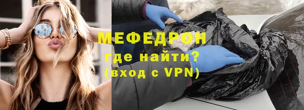 гашик Ельня