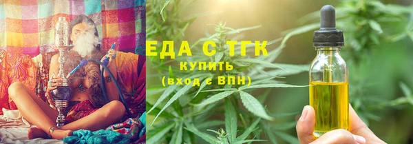 гашик Ельня