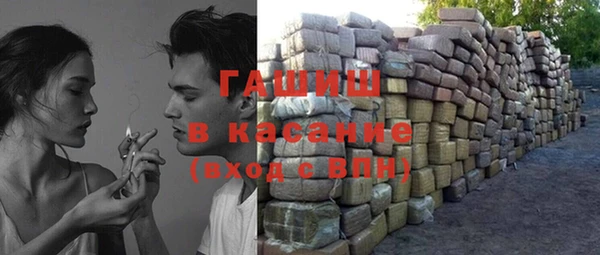гашик Ельня